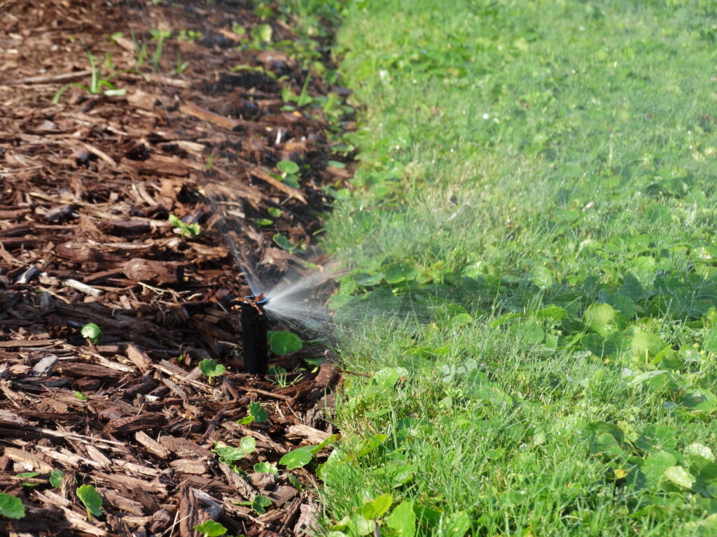 irrigation installation at wilmington home