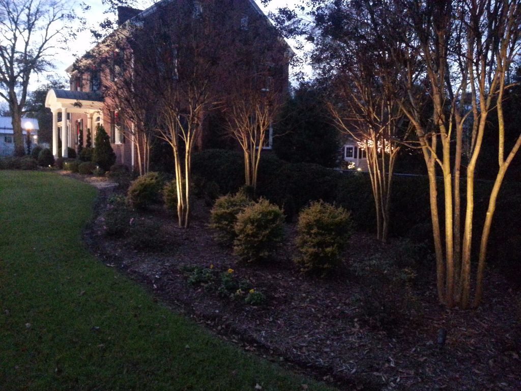 LandscapeLighting-Residential-Williams(10)