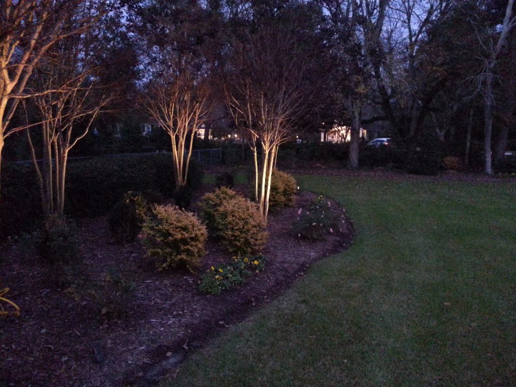 LandscapeLighting-Residential-Williams(11)