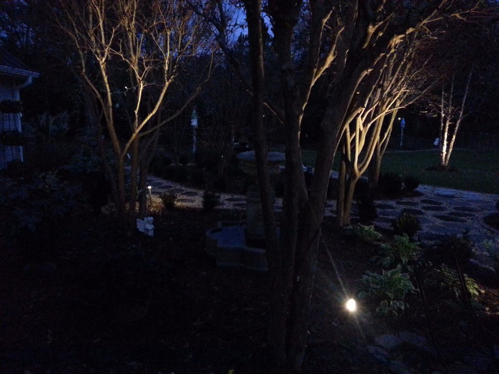 LandscapeLighting-Residential-Williams(4)