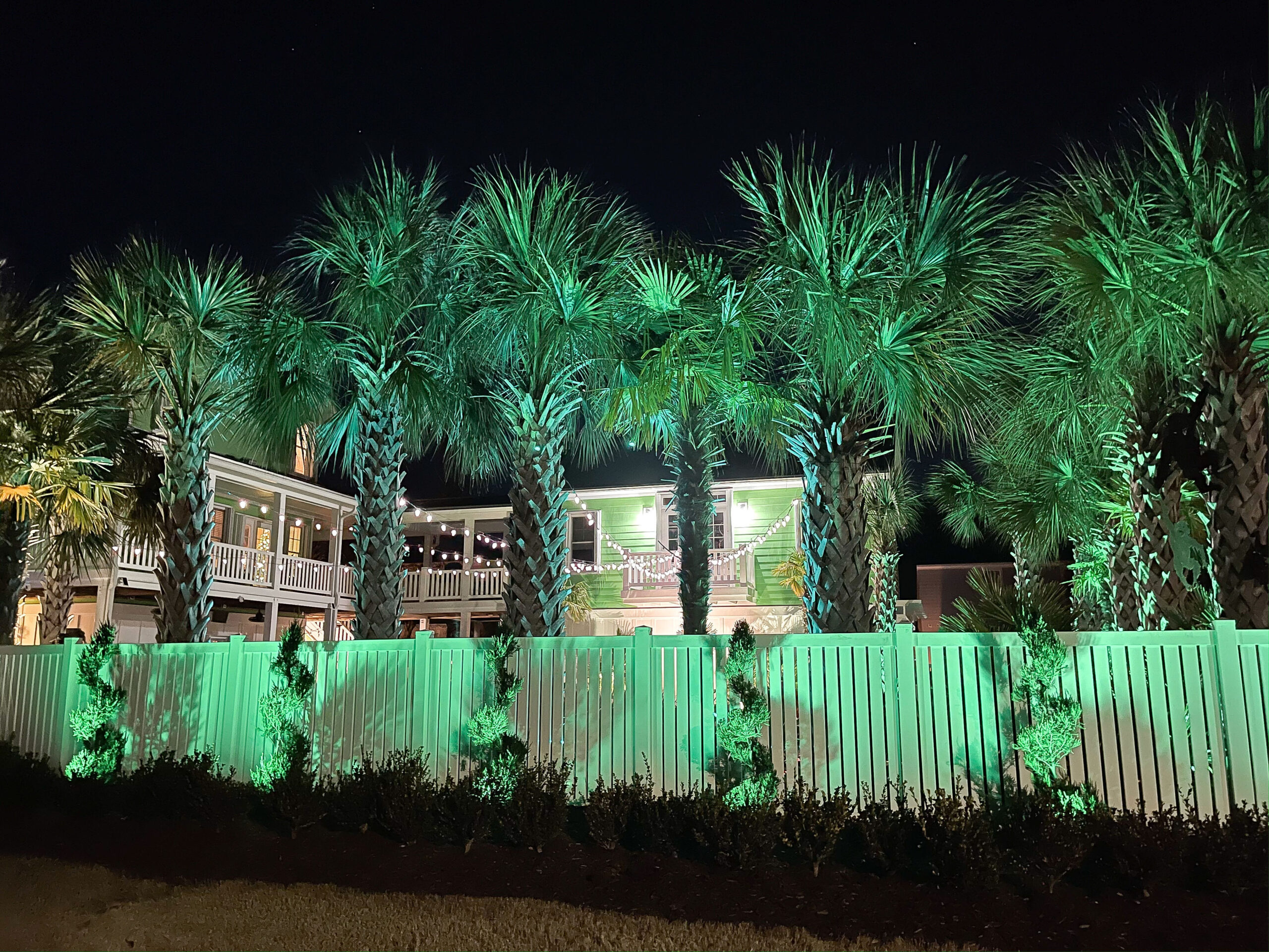 Residential-Landscape-Lighting-Carolina-Beach-Wyckoff-Backyard-Tree-Lighting