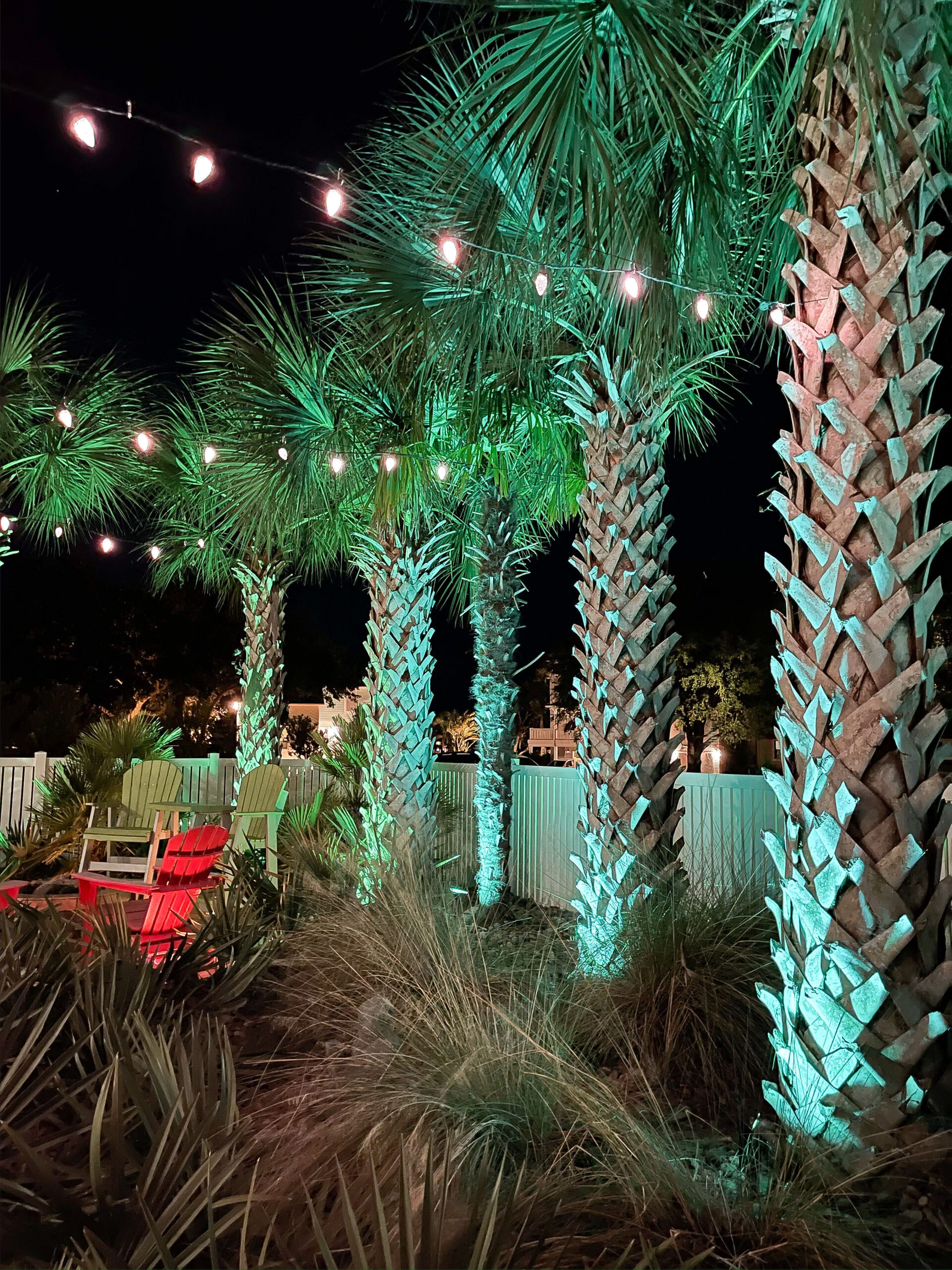 Residential-Landscape-Lighting-Carolina-Beach-Wyckoff-Palm-Tree-Lighting